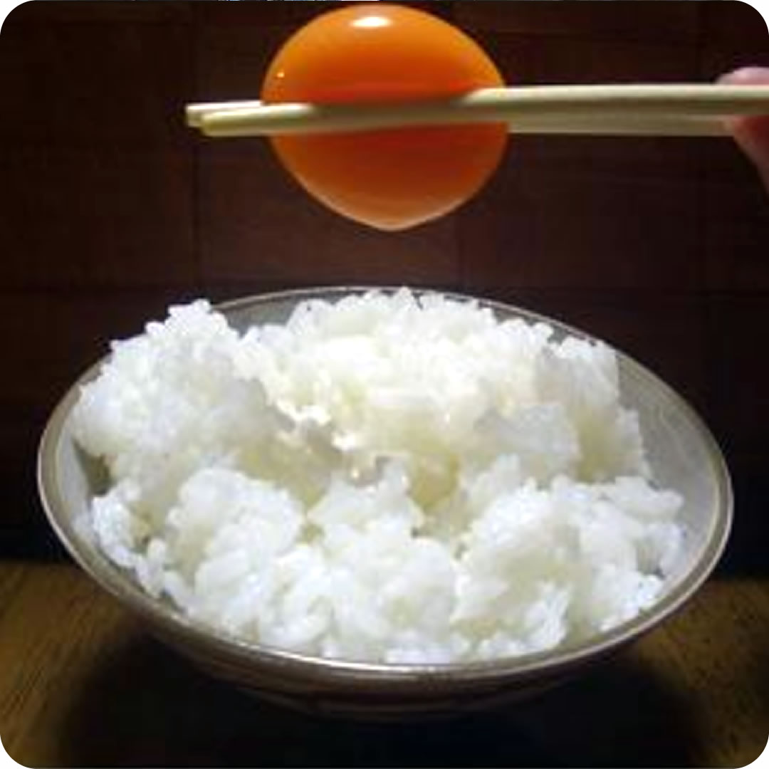 寺西養鶏所