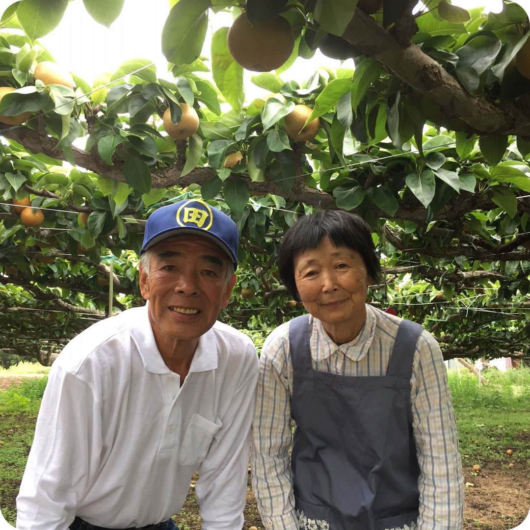 桜井五介農園